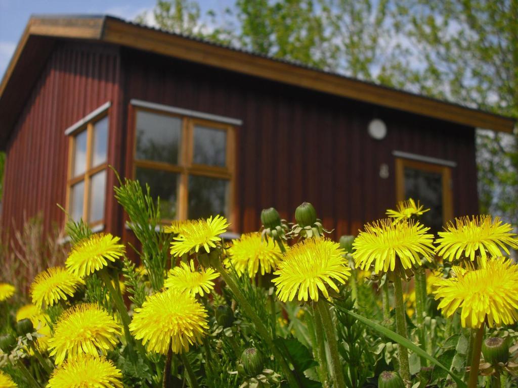 Guesthouse Petursborg Акурейри Номер фото